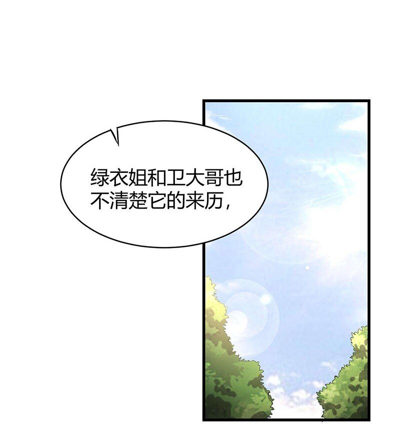 战国千年韩漫全集-16 狗牌无删减无遮挡章节图片 