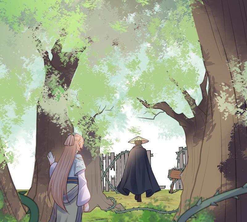 战神狂妃：凤倾天下韩漫全集-第90话 给太妃下毒无删减无遮挡章节图片 