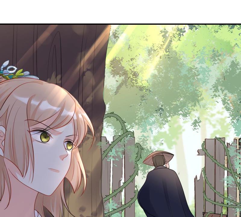 战神狂妃：凤倾天下韩漫全集-第90话 给太妃下毒无删减无遮挡章节图片 