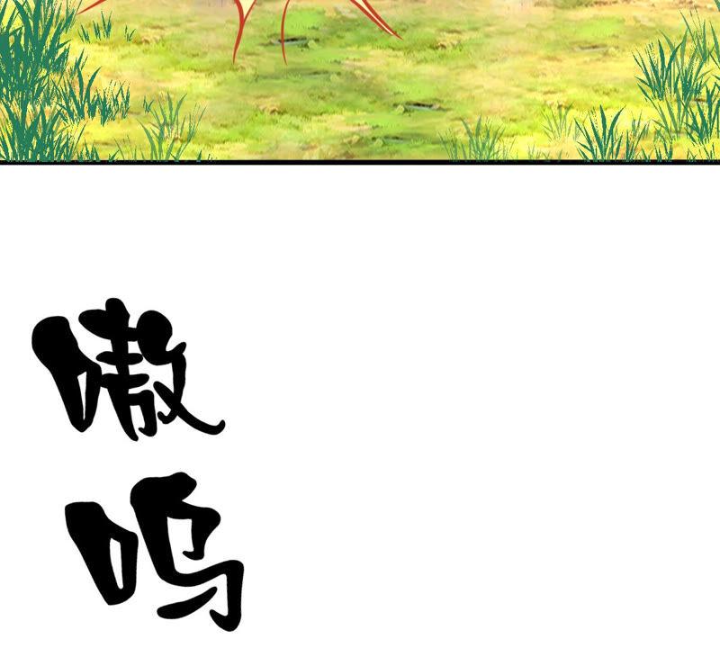 战神狂妃：凤倾天下韩漫全集-第91话 再行险招无删减无遮挡章节图片 