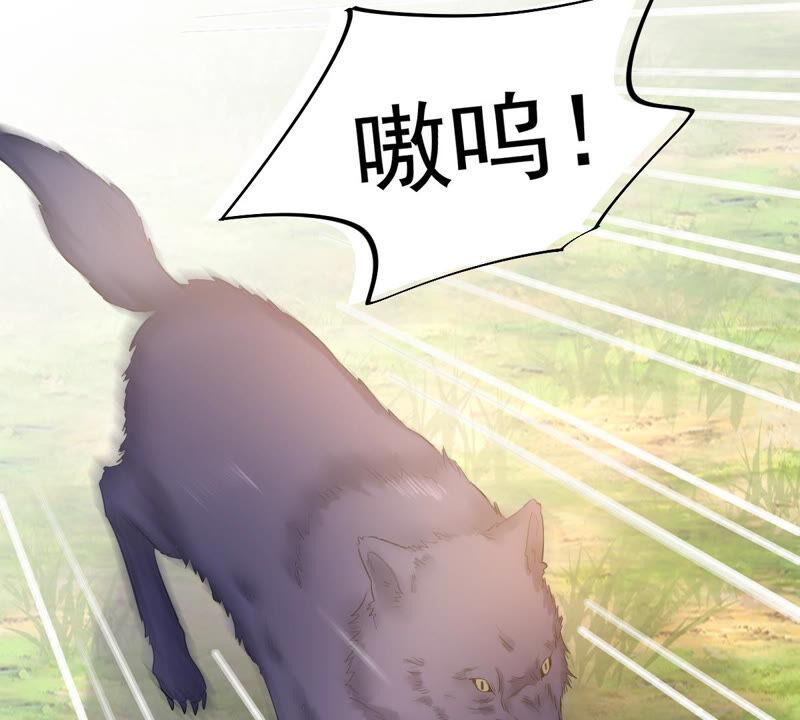 战神狂妃：凤倾天下韩漫全集-第92话 神秘男子无删减无遮挡章节图片 