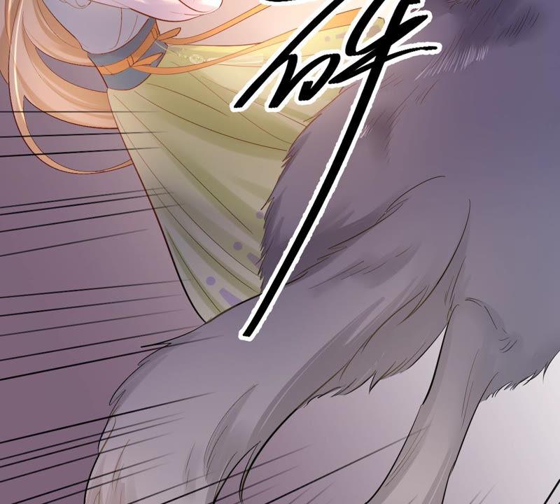 战神狂妃：凤倾天下韩漫全集-第92话 神秘男子无删减无遮挡章节图片 