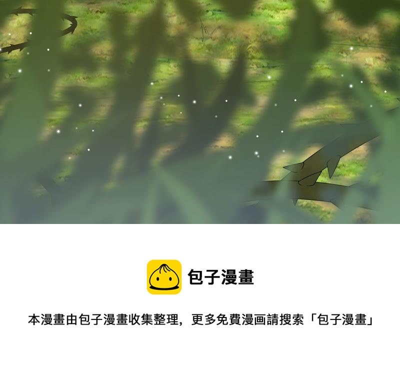 战神狂妃：凤倾天下韩漫全集-第94话 彼此的唯一（下）无删减无遮挡章节图片 