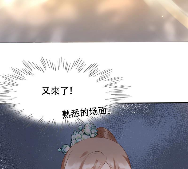 战神狂妃：凤倾天下韩漫全集-第95话 贺寿无删减无遮挡章节图片 