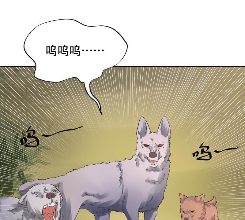 战神狂妃：凤倾天下韩漫全集-第105话 再遇红衣男子无删减无遮挡章节图片 