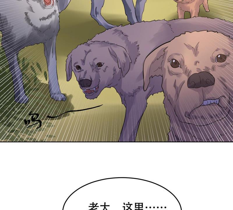 战神狂妃：凤倾天下韩漫全集-第105话 再遇红衣男子无删减无遮挡章节图片 