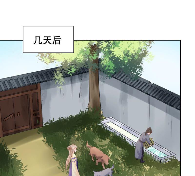 战神狂妃：凤倾天下韩漫全集-第105话 再遇红衣男子无删减无遮挡章节图片 