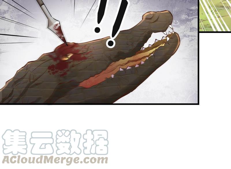 战神狂妃：凤倾天下韩漫全集-第115话 这个女人，智勇双全无删减无遮挡章节图片 