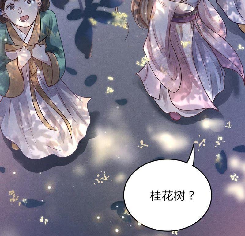 战神狂妃：凤倾天下韩漫全集-第7话 桂花树上的阴谋无删减无遮挡章节图片 