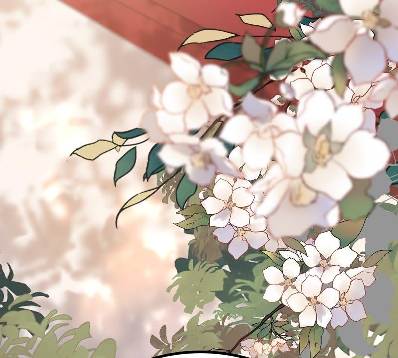 战神狂妃：凤倾天下韩漫全集-第44话 被妖孽醇王看上？无删减无遮挡章节图片 