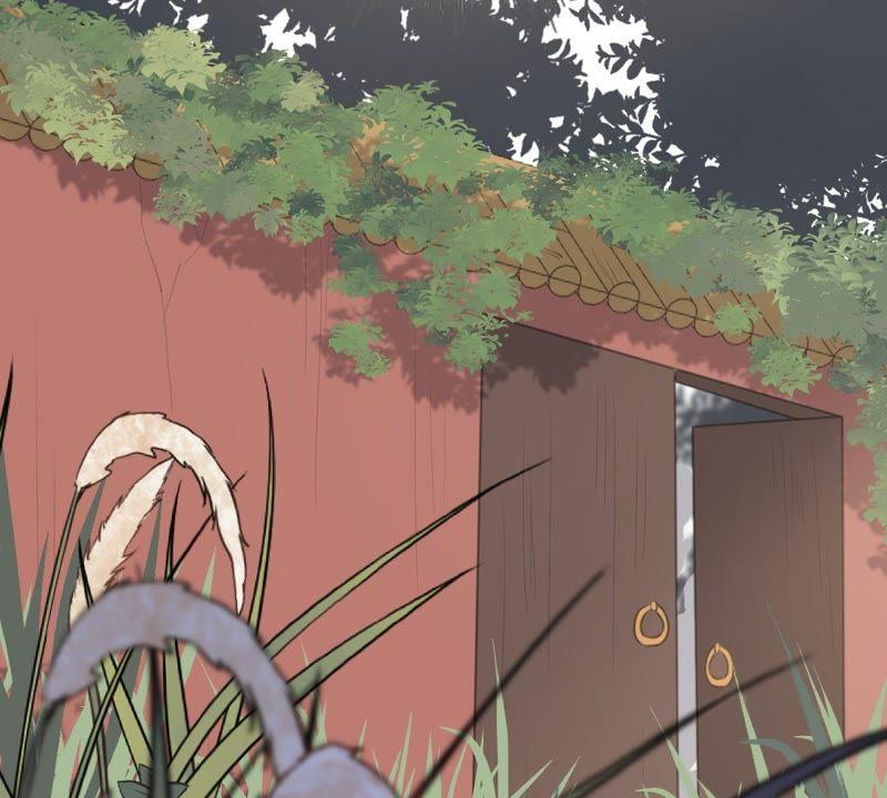 战神狂妃：凤倾天下韩漫全集-第50话 意在毁容无删减无遮挡章节图片 