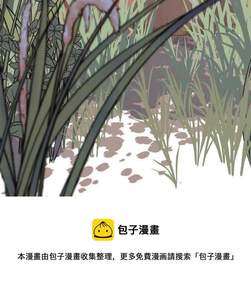 战神狂妃：凤倾天下韩漫全集-第50话 意在毁容无删减无遮挡章节图片 