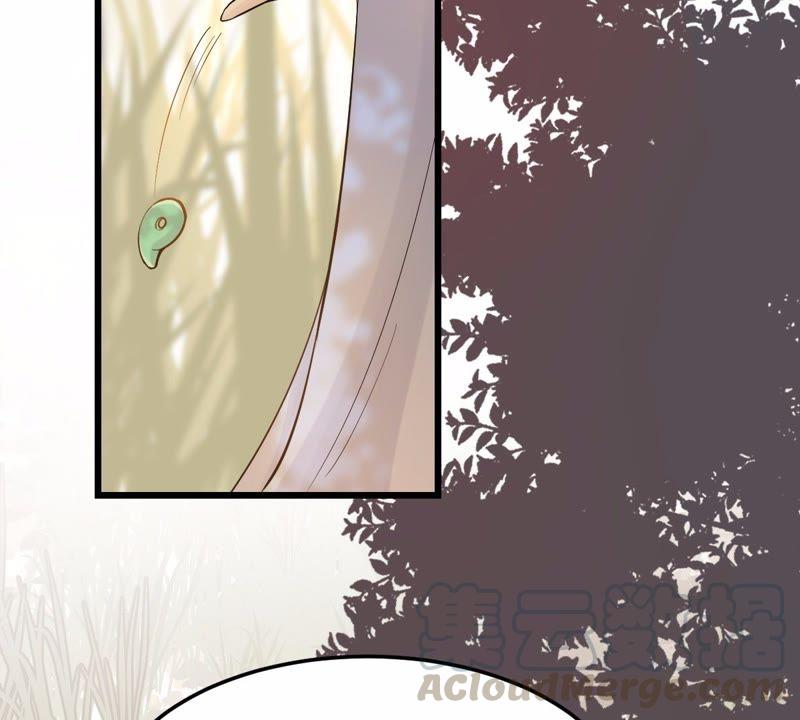 战神狂妃：凤倾天下韩漫全集-第54话 被灭口的证人无删减无遮挡章节图片 