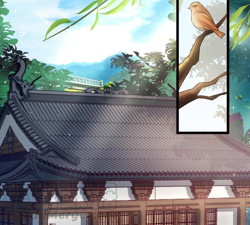 战神狂妃：凤倾天下韩漫全集-第61话 存心试探无删减无遮挡章节图片 