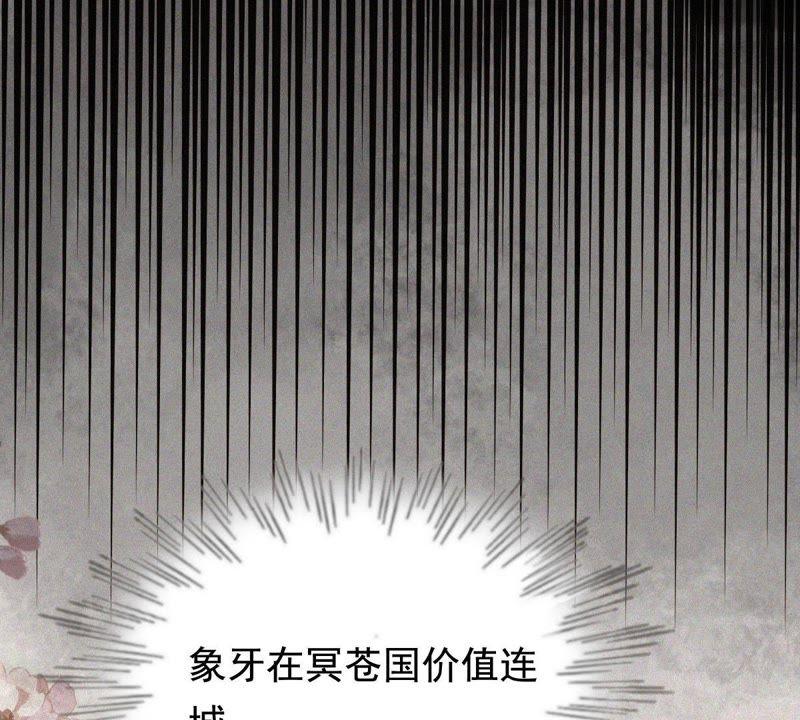 战神狂妃：凤倾天下韩漫全集-第61话 存心试探无删减无遮挡章节图片 