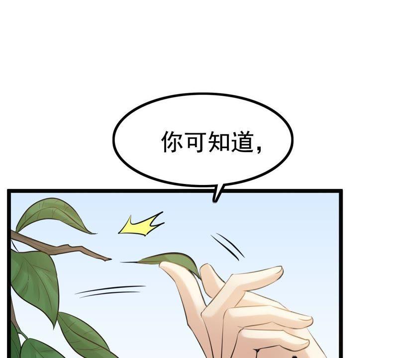 战神狂妃：凤倾天下韩漫全集-第64话 朱雀令无删减无遮挡章节图片 