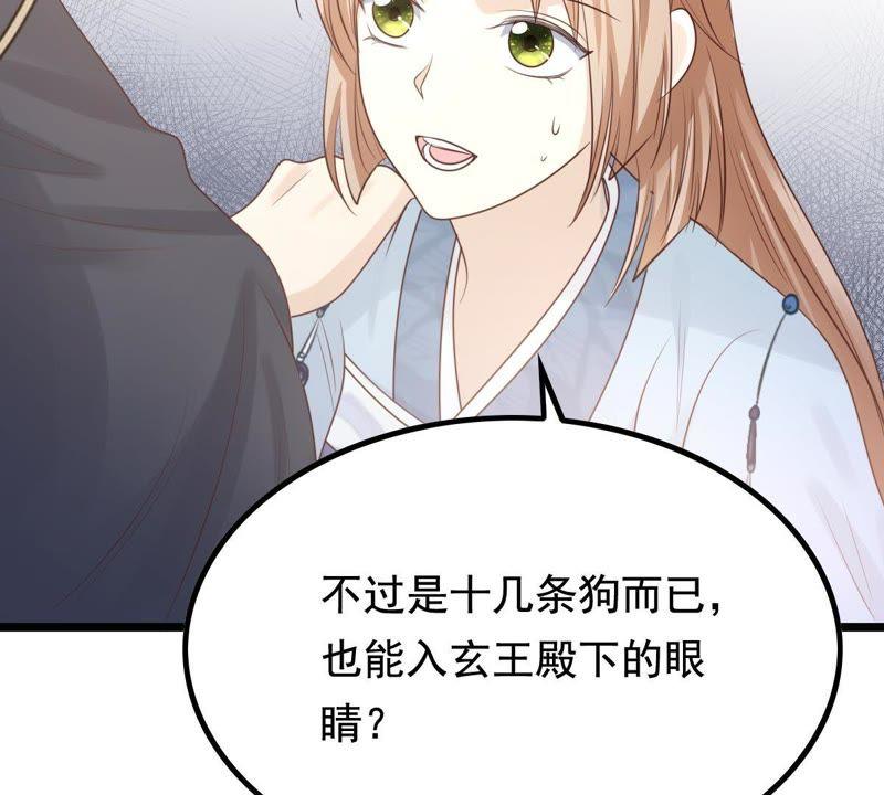 战神狂妃：凤倾天下韩漫全集-第67话 小狐狸和大灰狼无删减无遮挡章节图片 