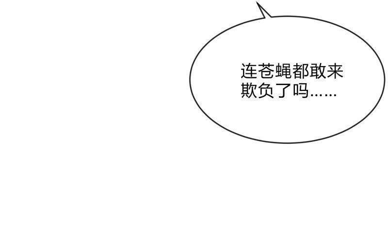 召唤美少女军团韩漫全集-螳螂捕蝉，黄雀在后无删减无遮挡章节图片 