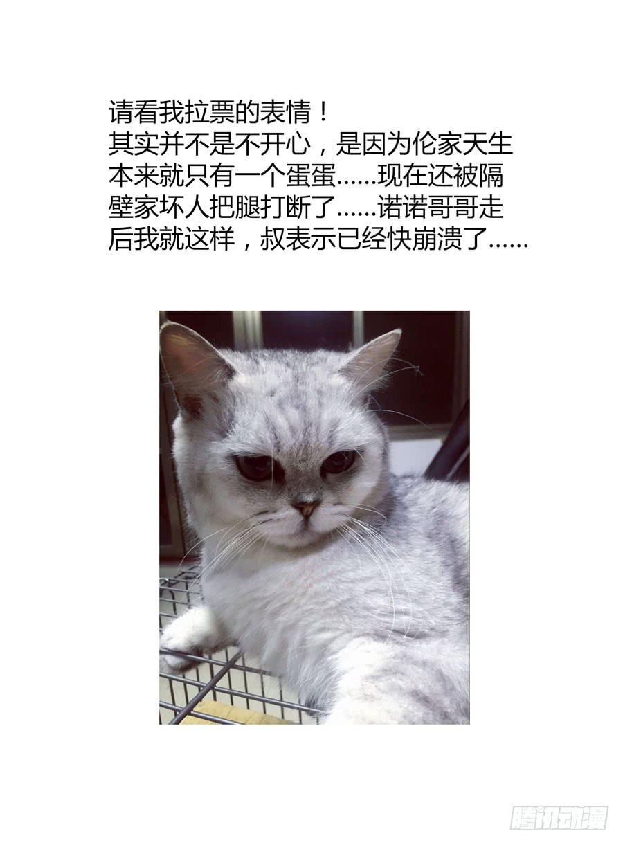 召唤天下韩漫全集-48. 英魂“遗愿”无删减无遮挡章节图片 