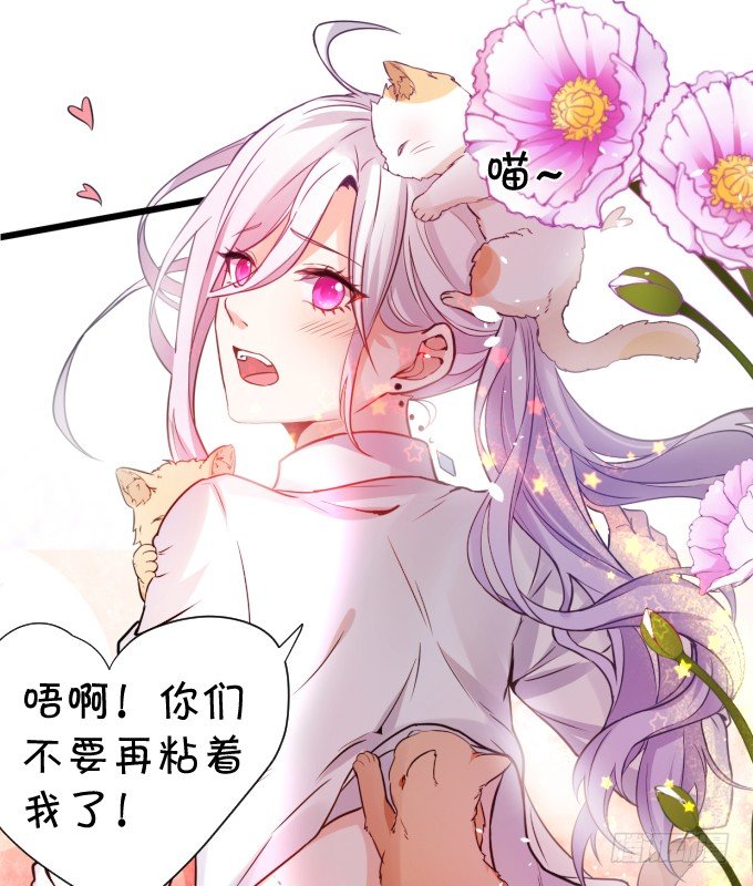 这个保镖有点萌韩漫全集-能不能不要靠我这么近……无删减无遮挡章节图片 