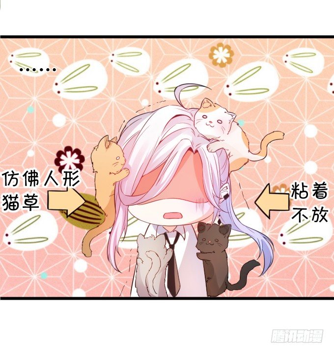 这个保镖有点萌韩漫全集-能不能不要靠我这么近……无删减无遮挡章节图片 