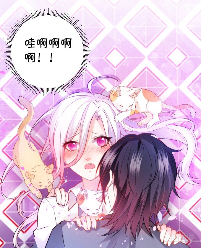 这个保镖有点萌韩漫全集-能不能不要靠我这么近……无删减无遮挡章节图片 