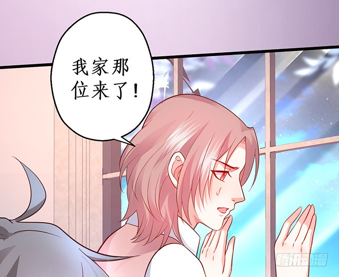 这个保镖有点萌韩漫全集-霸总生气很可怕无删减无遮挡章节图片 