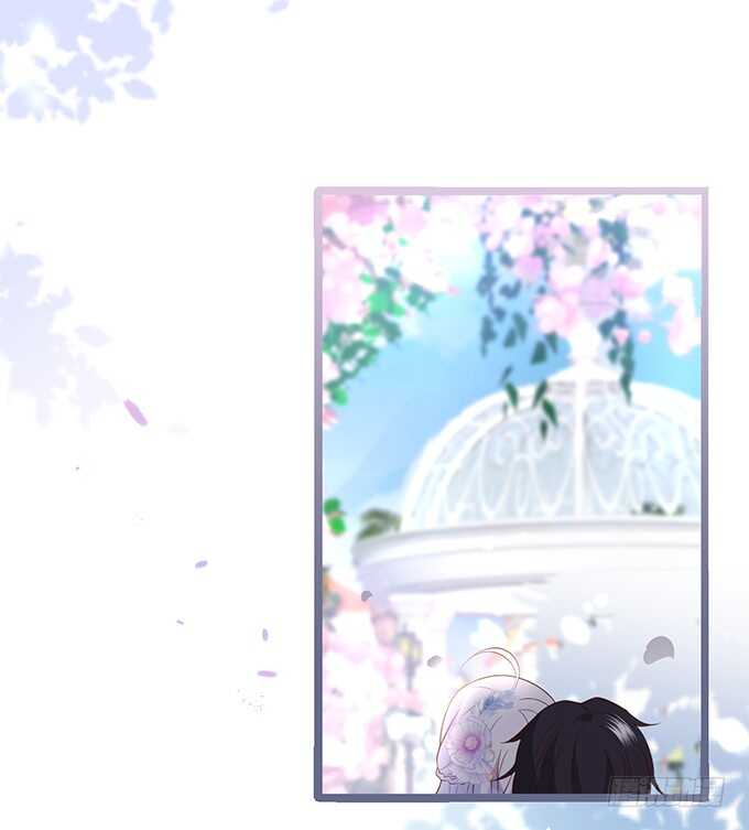 这个保镖有点萌韩漫全集-阿绯凌夜终于结婚了~无删减无遮挡章节图片 