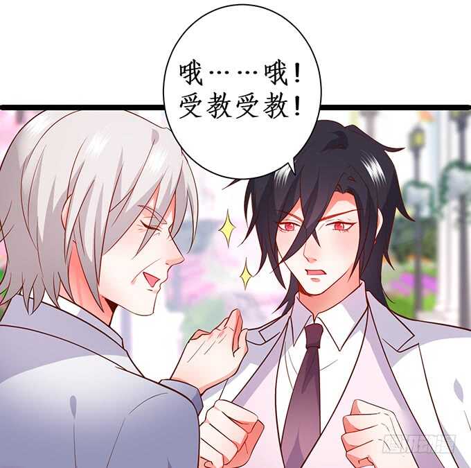 这个保镖有点萌韩漫全集-阿绯凌夜终于结婚了~无删减无遮挡章节图片 