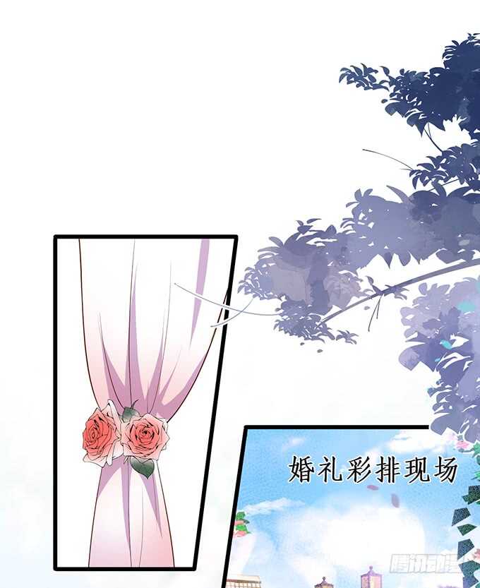 这个保镖有点萌韩漫全集-阿绯凌夜终于结婚了~无删减无遮挡章节图片 
