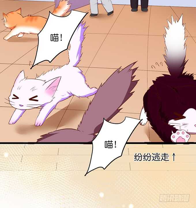 这个保镖有点萌韩漫全集-最后的温存……无删减无遮挡章节图片 