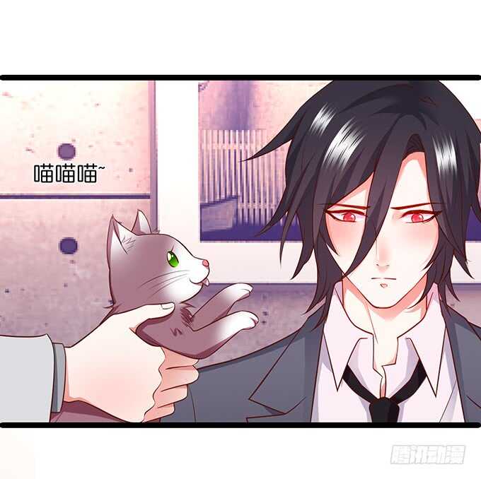 这个保镖有点萌韩漫全集-最后的温存……无删减无遮挡章节图片 