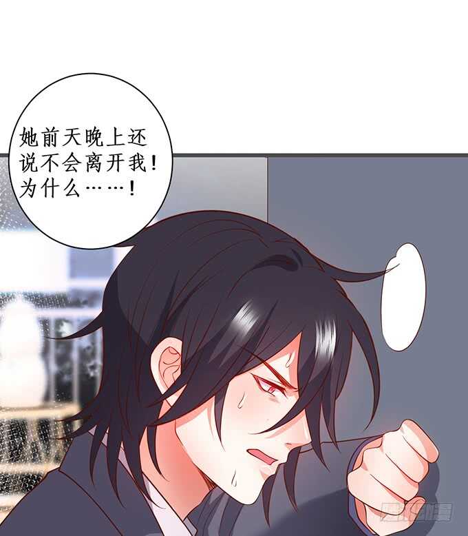 这个保镖有点萌韩漫全集-阿绯，你怎么这么傻……无删减无遮挡章节图片 