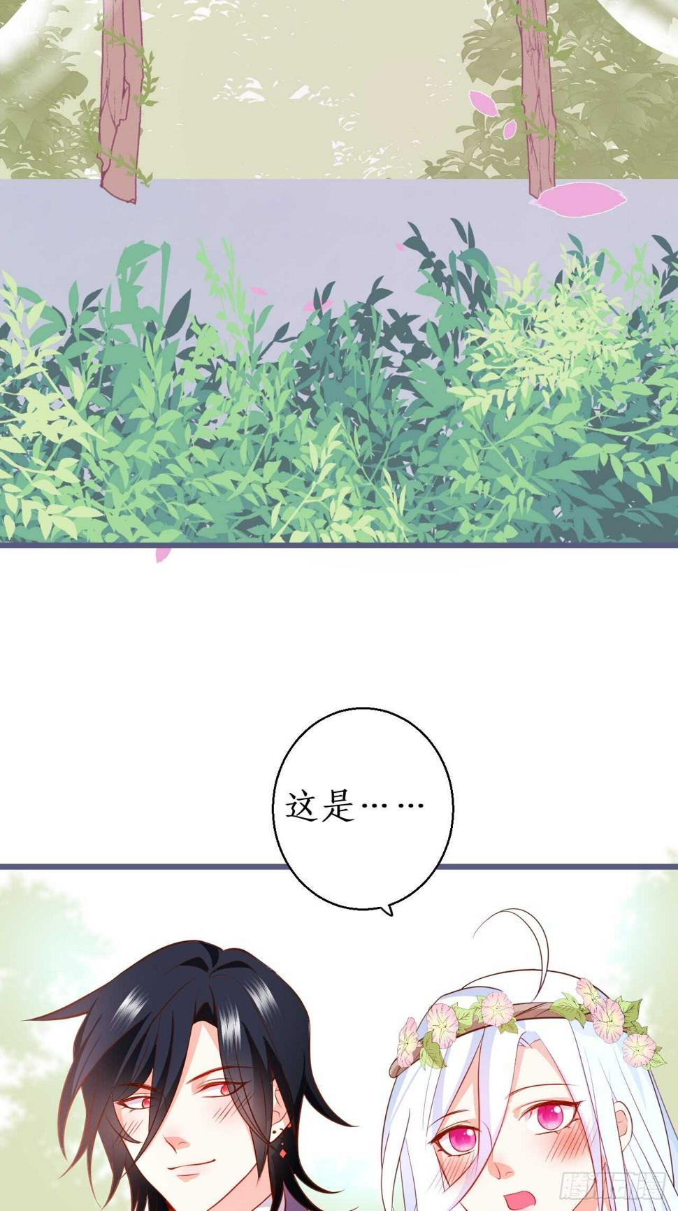 这个保镖有点萌韩漫全集-给阿绯的惊喜无删减无遮挡章节图片 