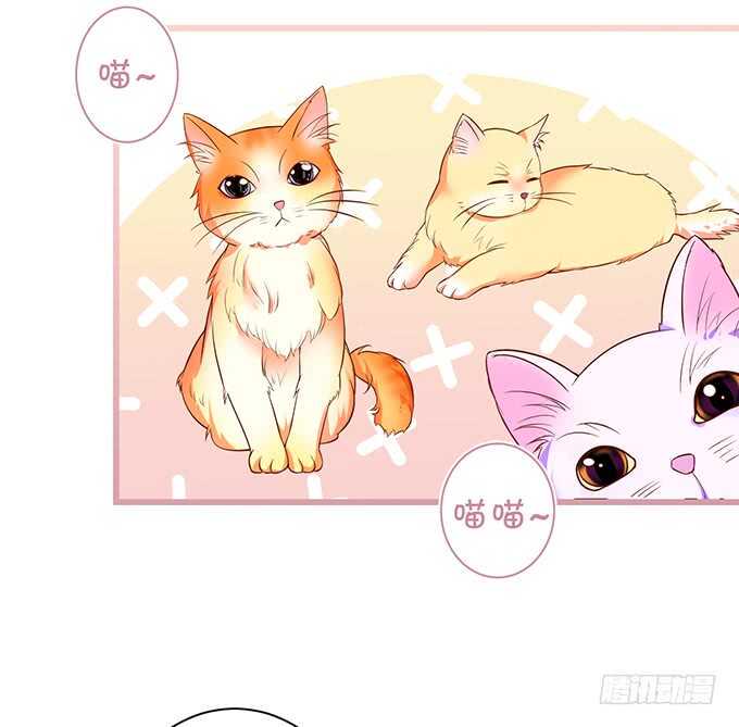 这个保镖有点萌韩漫全集-白绯，你这个好紧！无删减无遮挡章节图片 