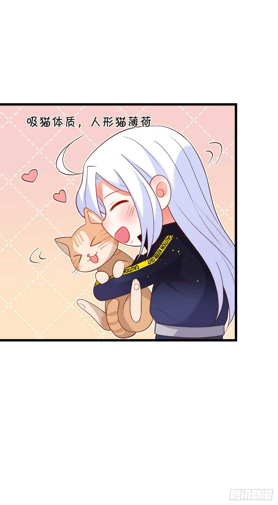 这个保镖有点萌韩漫全集-小猫咪，发现你了~无删减无遮挡章节图片 