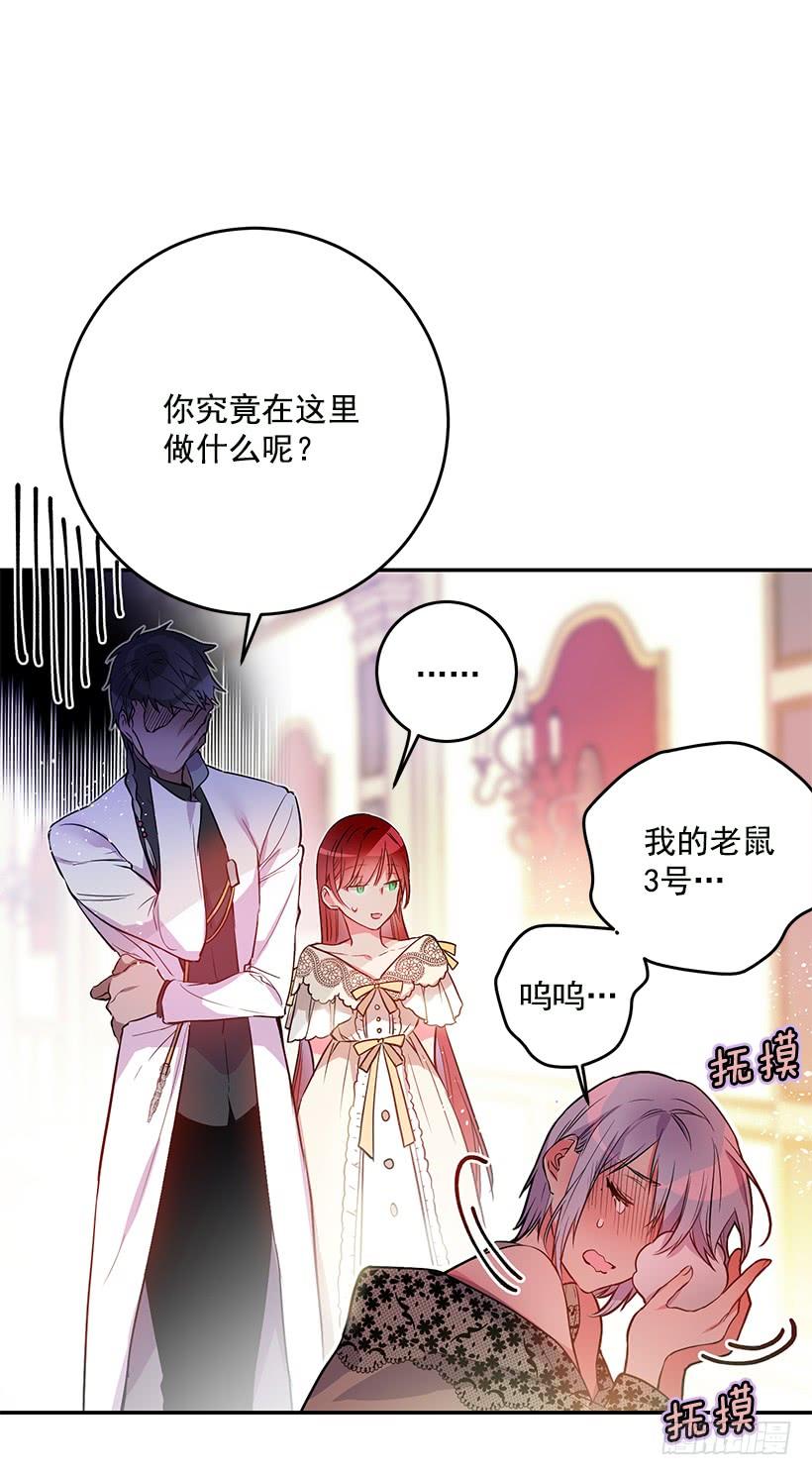 这个小姐有点野韩漫全集-你不怕我吗无删减无遮挡章节图片 