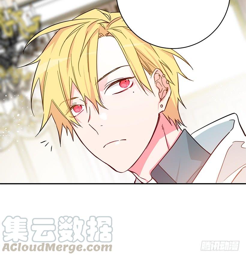 这个小姐有点野韩漫全集-准贵族无删减无遮挡章节图片 