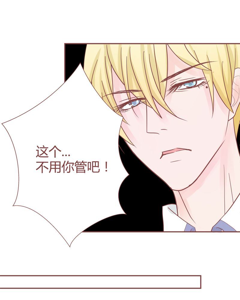 这里有点不正常韩漫全集-这里有点不正常 第12集无删减无遮挡章节图片 