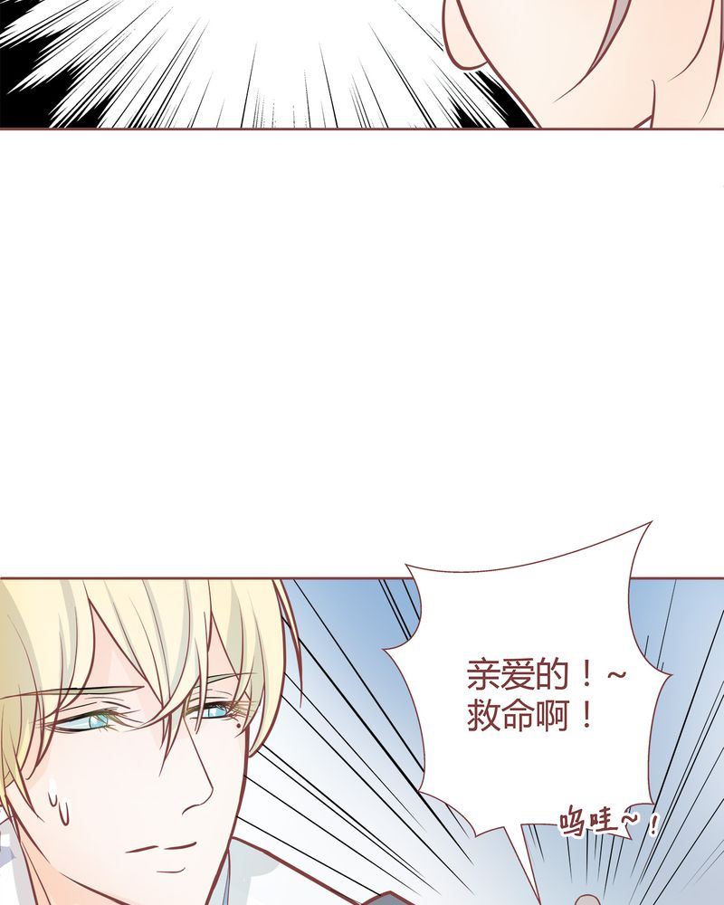 这里有点不正常韩漫全集-这里有点不正常 第5集无删减无遮挡章节图片 