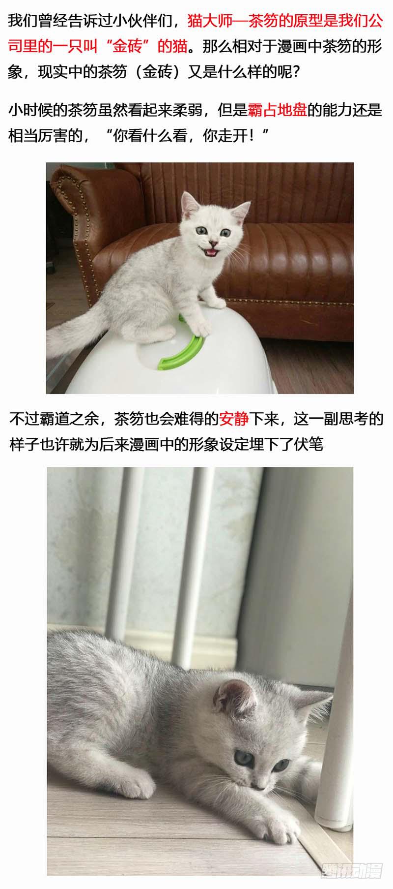 蒸汽世界韩漫全集-134 镜花天（中）无删减无遮挡章节图片 