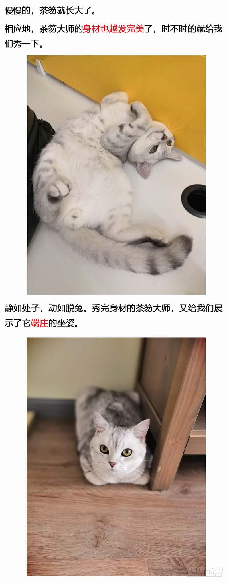 蒸汽世界韩漫全集-134 镜花天（中）无删减无遮挡章节图片 
