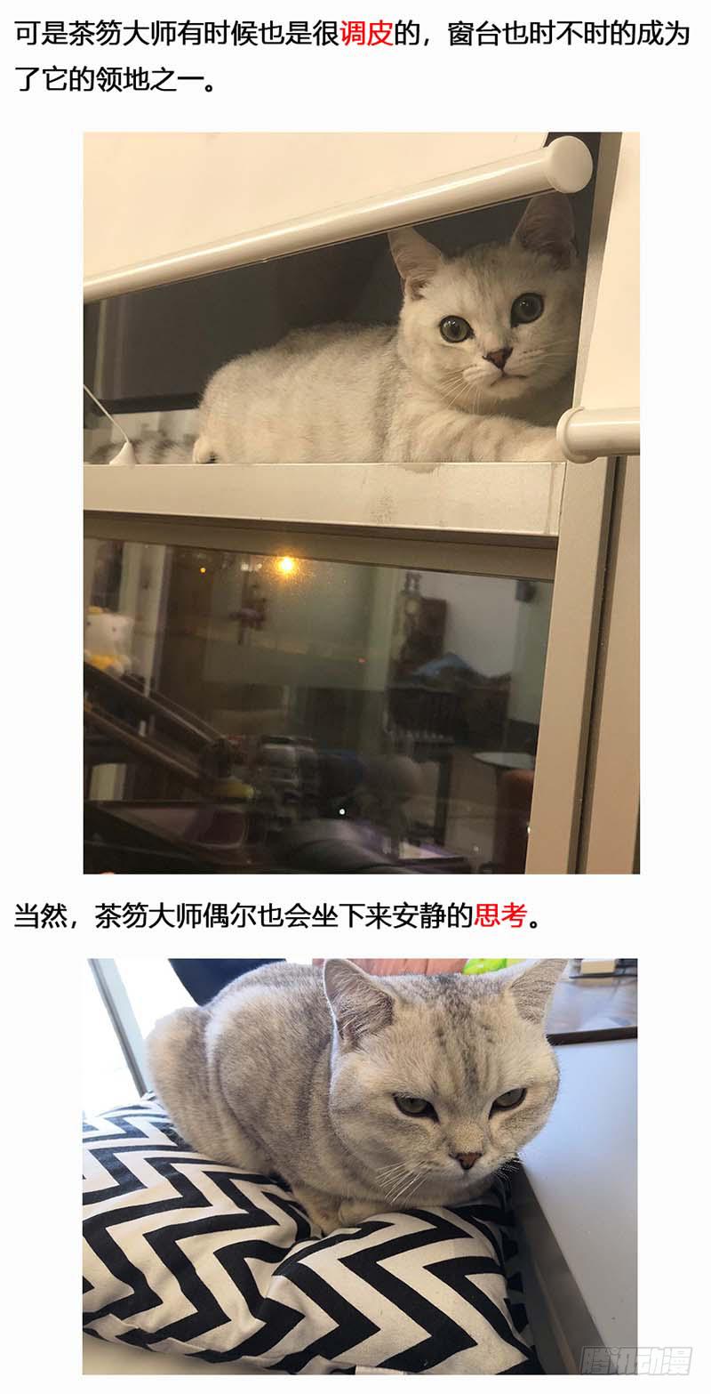 蒸汽世界韩漫全集-134 镜花天（中）无删减无遮挡章节图片 
