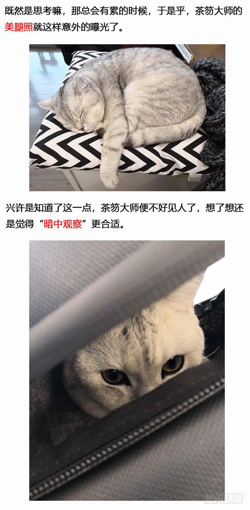 蒸汽世界韩漫全集-134 镜花天（中）无删减无遮挡章节图片 