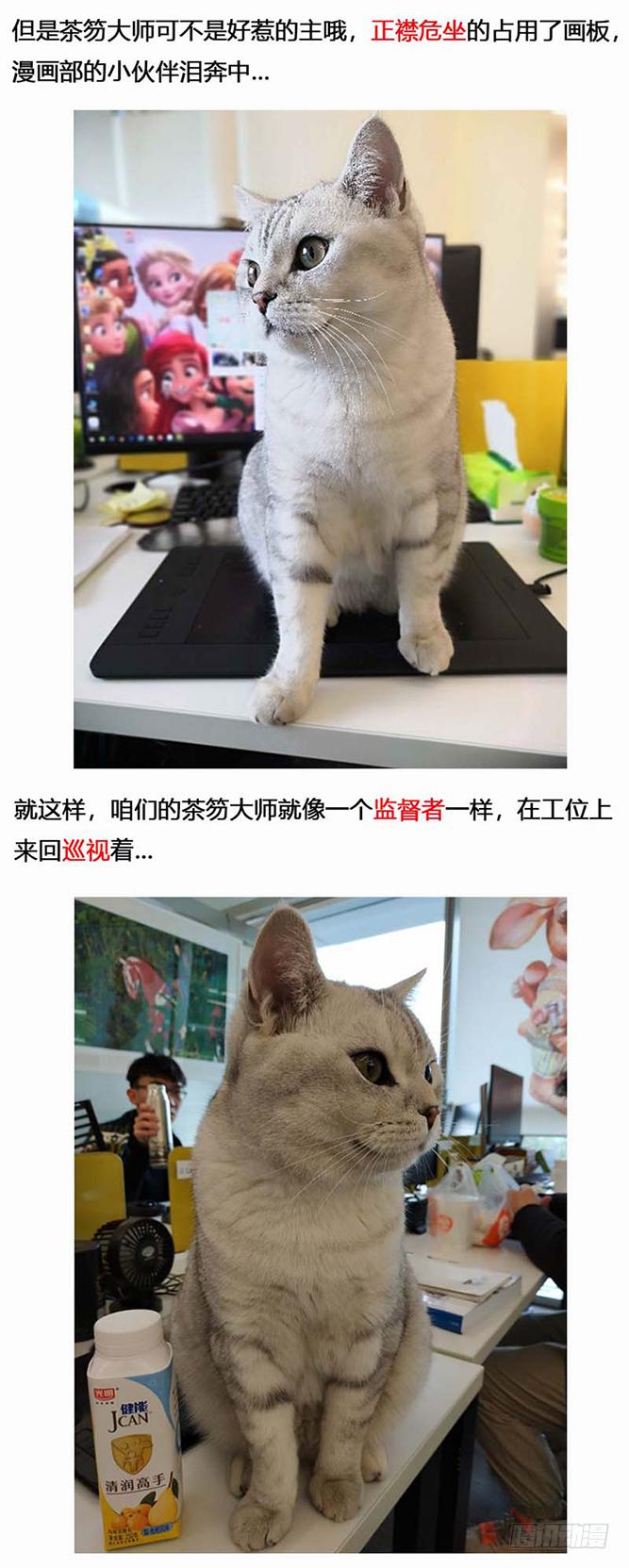 蒸汽世界韩漫全集-134 镜花天（中）无删减无遮挡章节图片 
