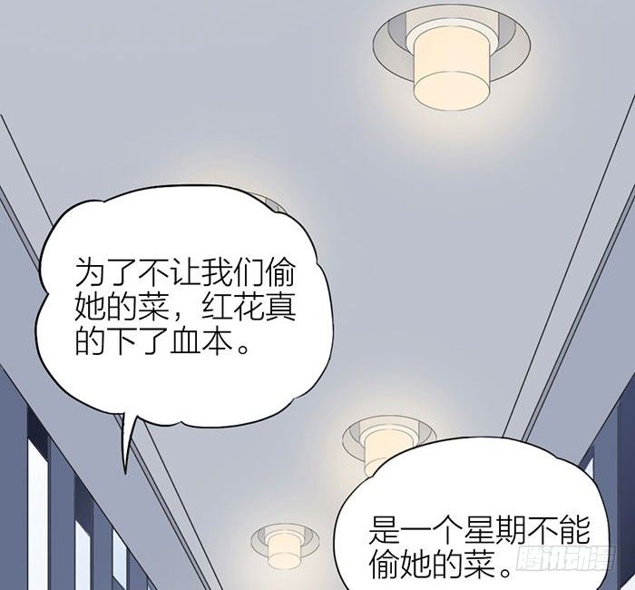 致2008韩漫全集-委婉和豪放也就是一瓶酒的距离无删减无遮挡章节图片 