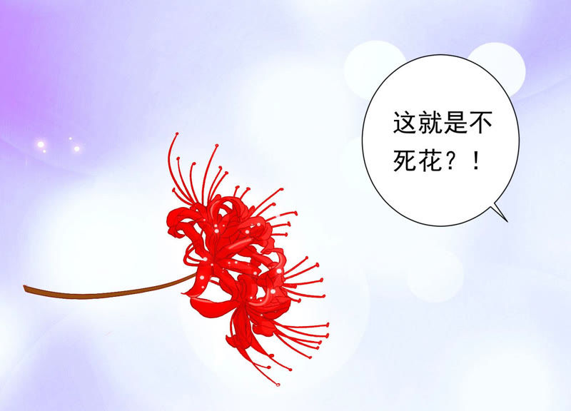知君深情不易韩漫全集-第107话 杀了它，拿到不死花无删减无遮挡章节图片 