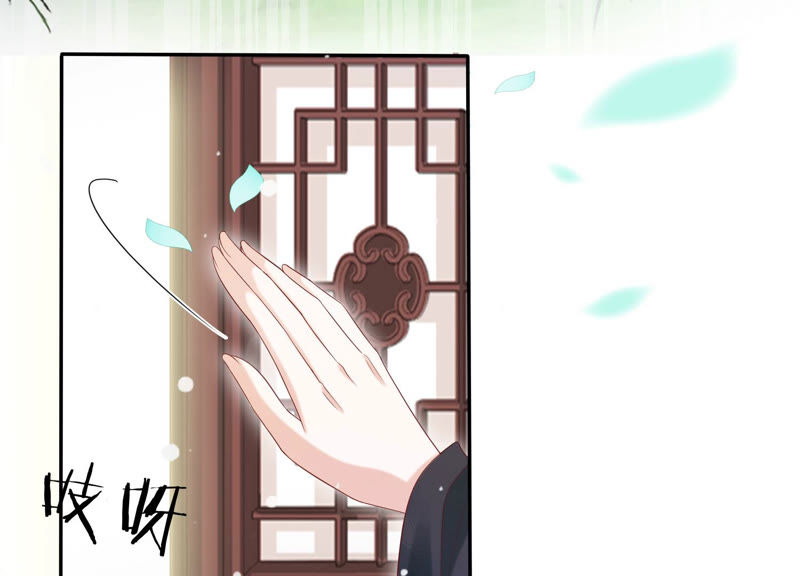 知君深情不易韩漫全集-第108话 遵命，我的宫主大人无删减无遮挡章节图片 