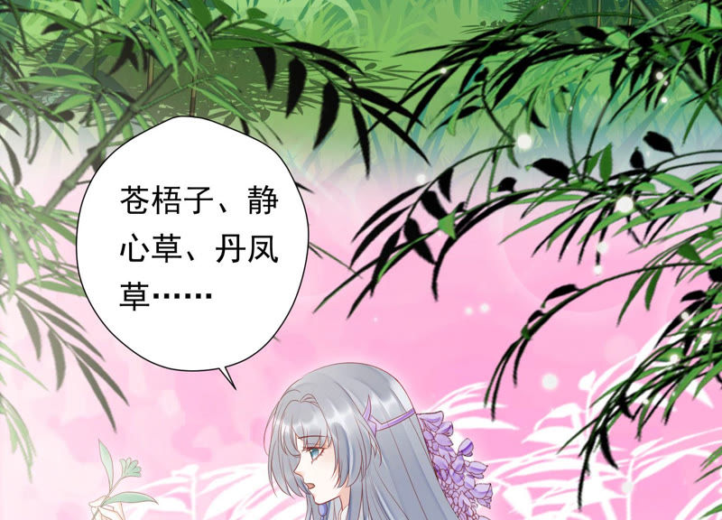知君深情不易韩漫全集-第108话 遵命，我的宫主大人无删减无遮挡章节图片 
