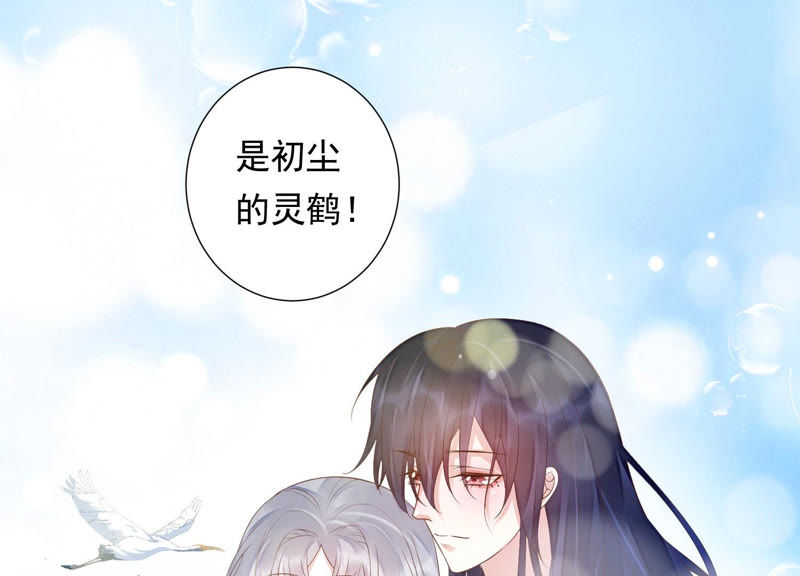 知君深情不易韩漫全集-第109话 苒苒，你不喜欢吗？无删减无遮挡章节图片 